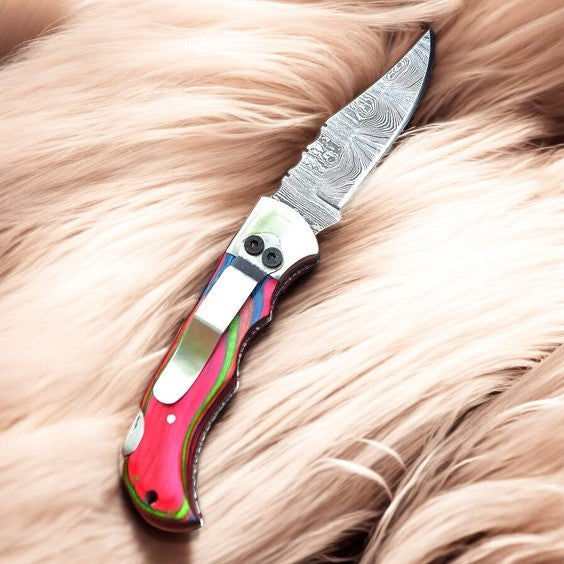 Multicolor Pakka Wood Handle with Clip on 3-Inch Clip Knife