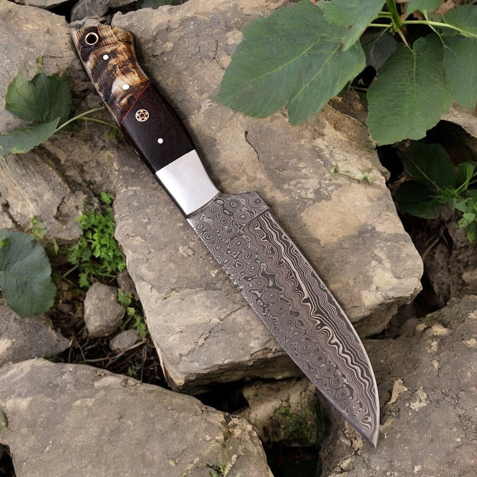 Best knife for deer hunting with 5.5-inch Damascus steel blade and sheep horn handle.