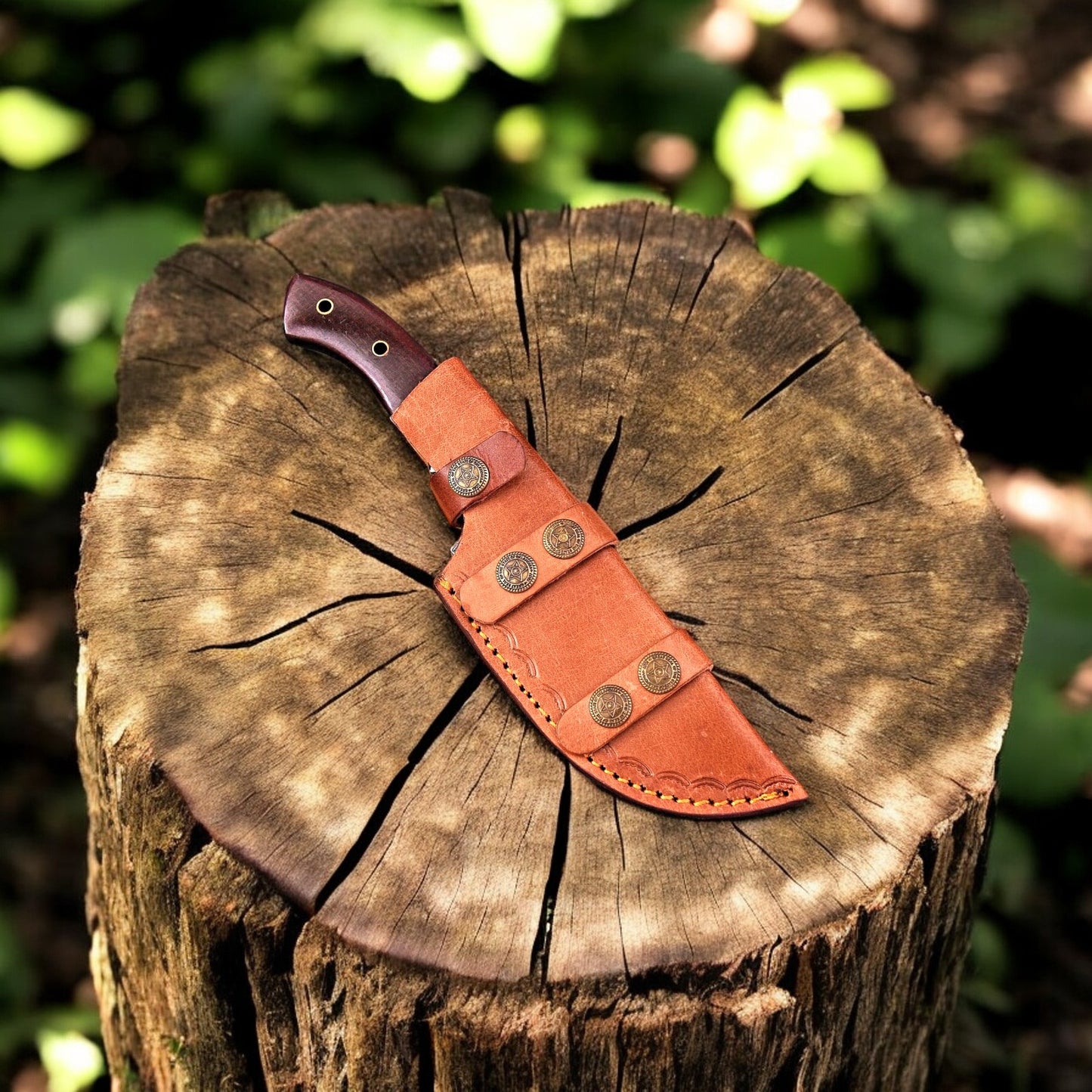 knife in a belt
