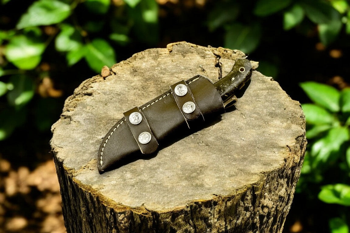 knife in a belt