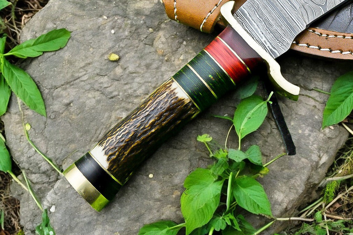 Antler horn and exotic wood handle of the hunting knife with brass guard.