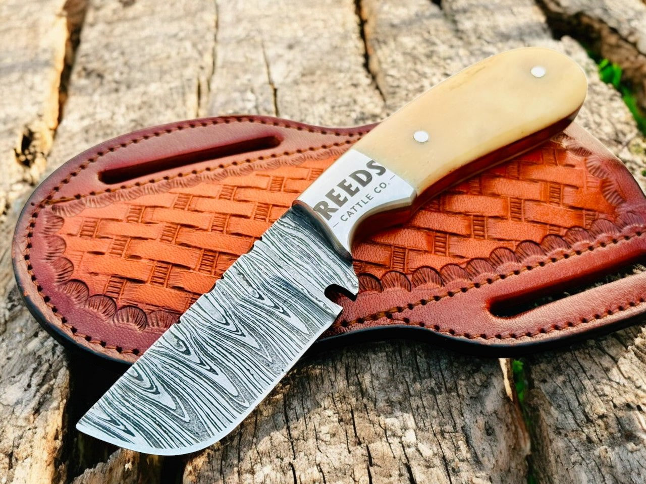 Knife with a leather sheath on a wooden surface, featuring the brand 'Reeds Cattle Co'.