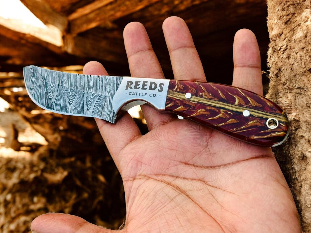 Hand holding a knife with 'Reeds Cattle Co.' branding against a natural background
