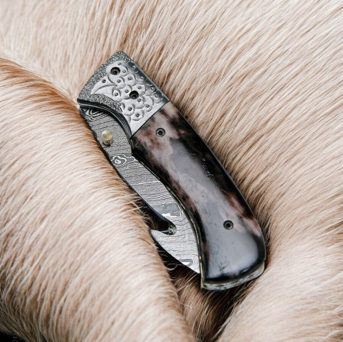  Damascus gut hook pocket knife displayed with leather case