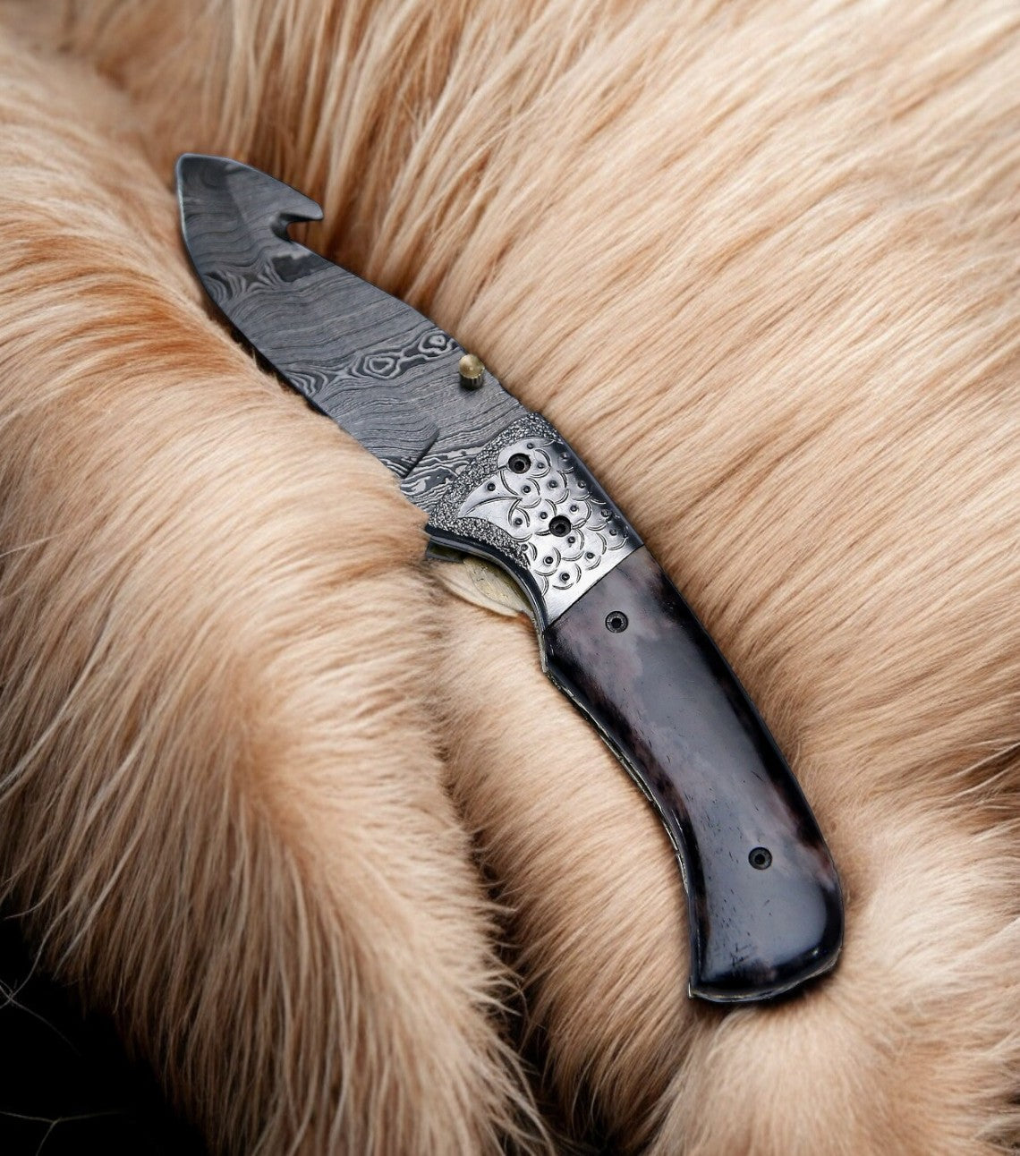  Colored bone handle on Damascus gut hook pocket knife