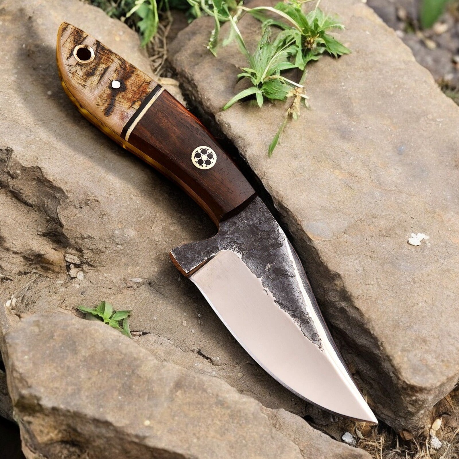 Sheep horn and rosewood handle of top hunting knife, offering a secure grip.
