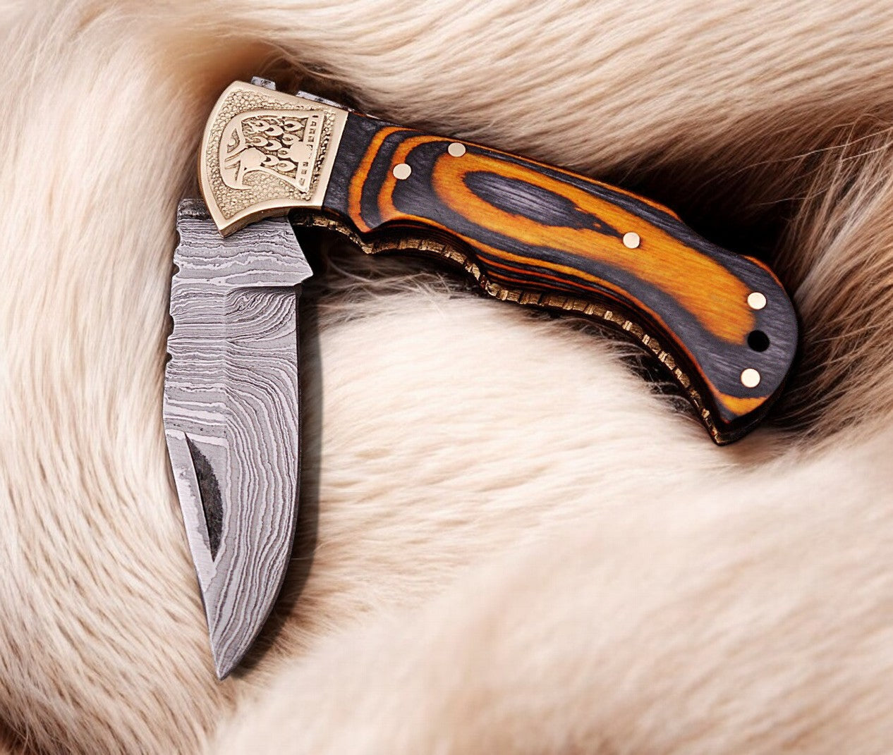 Classic Pocket Knife with Back Lock and Leather Case
