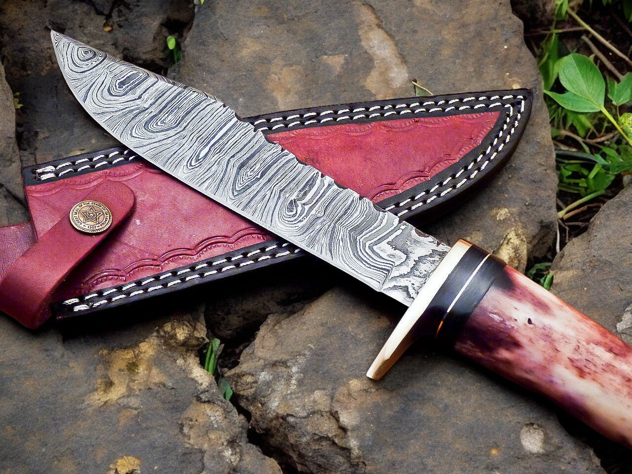 Detailed image of the color bone handle and brass guard on the deer hunting knife.
