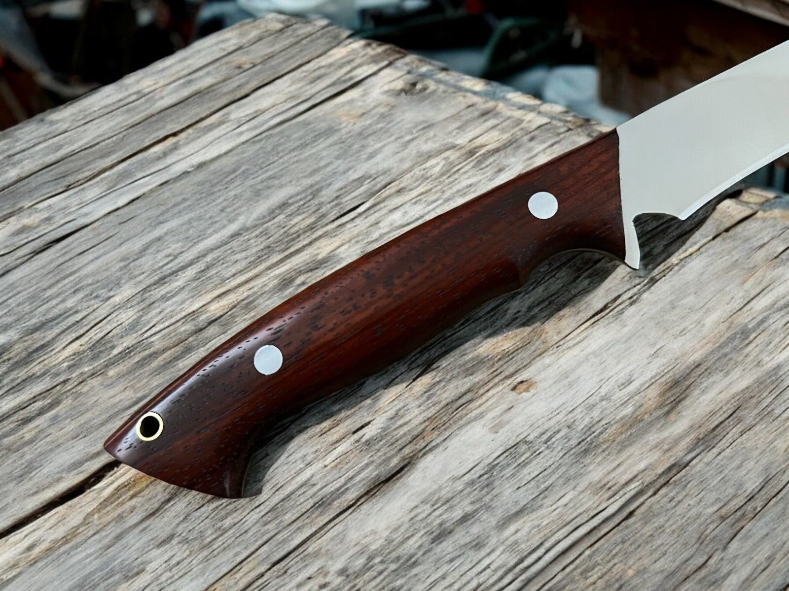 Fillet Knife in Leather Sheath with Stainless Steel Blade and Rosewood Handle
