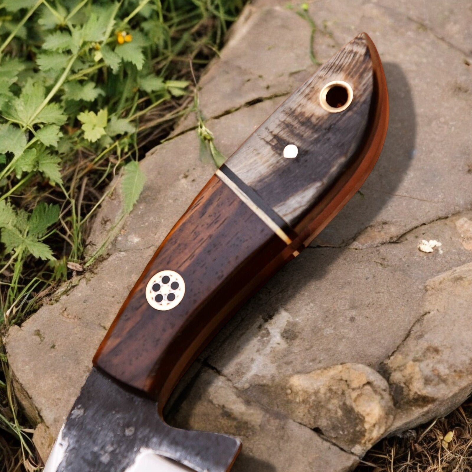 Unique sheep horn and rosewood handle of top hunting knife, displayed on a natural surface.





