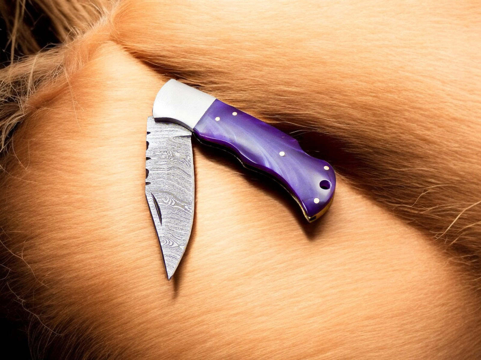 Compact 3-Inch Folding Knife with Damascus Blade
