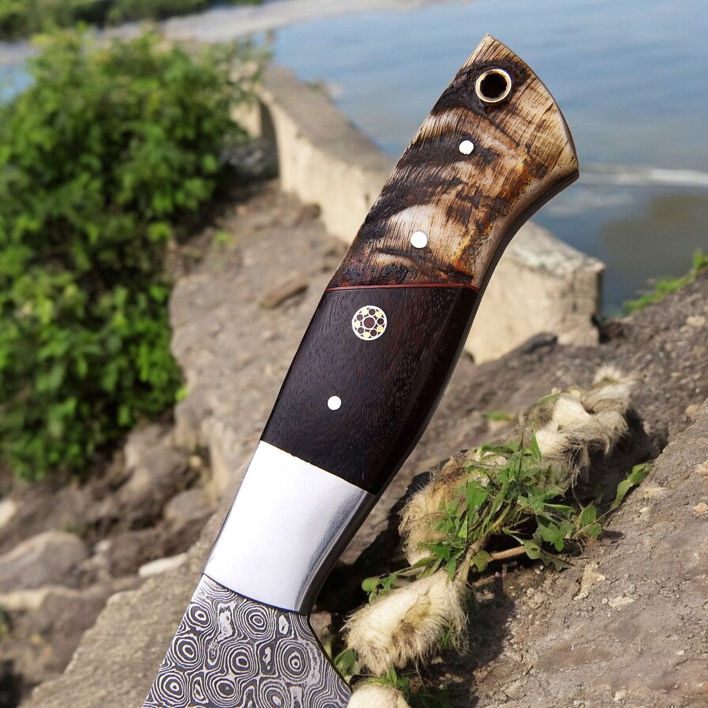 Elegant handle of the hunting knife made from sheep horn, rosewood, and steel bolster.
